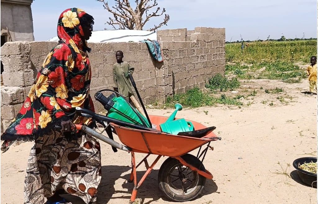 A person in a colorful floral outfit pushes a wheelbarrow with green watering cans past a brick wall in a sunny outdoor setting.
