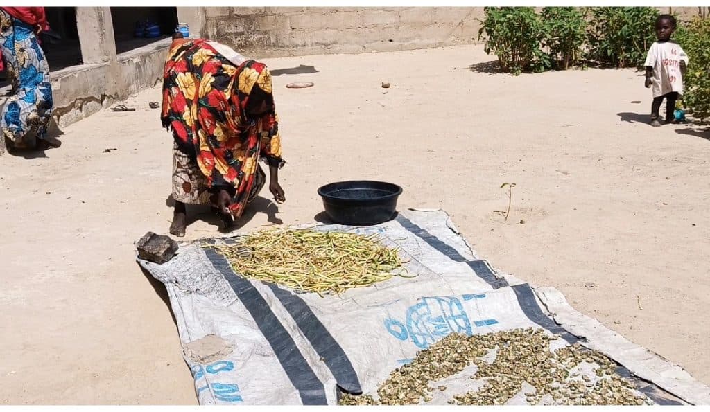 A person in colorful attire sorts beans on a tarp, with a child standing nearby on the sandy ground.