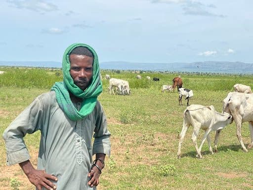 A man with a green headscarf stands in a field with grazing cattle under a partly cloudy sky.