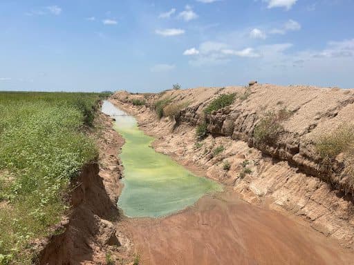 Narrow stream with greenish water flows between grassy and eroded banks under a blue sky.
