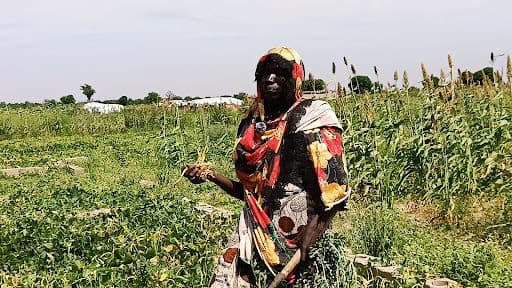 A person in a colorful outfit stands in a lush, green farm field, holding a tool, with structures visible in the background.