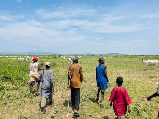 A group of boys walks towards grazing cows in a vast green field under a clear blue sky.