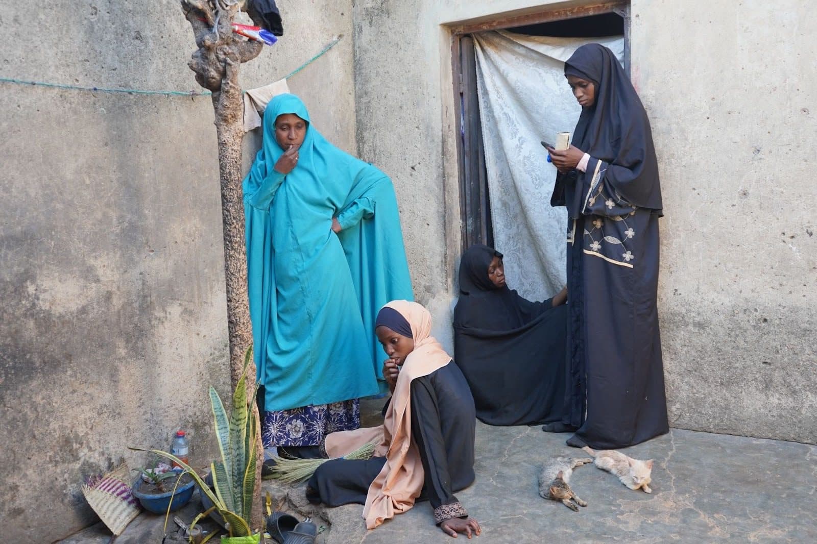 Four women in various hijabs stand and sit outside a doorway. Two cats rest nearby on the ground.