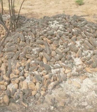 A large pile of yam tubers on the ground in a dry outdoor area.