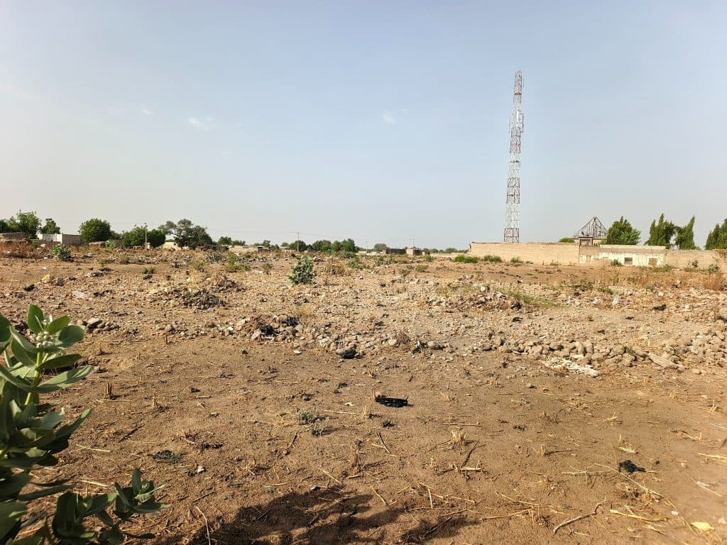 Barren field with scattered plants and rocks, a tall communication tower, and buildings in the background under a clear sky.