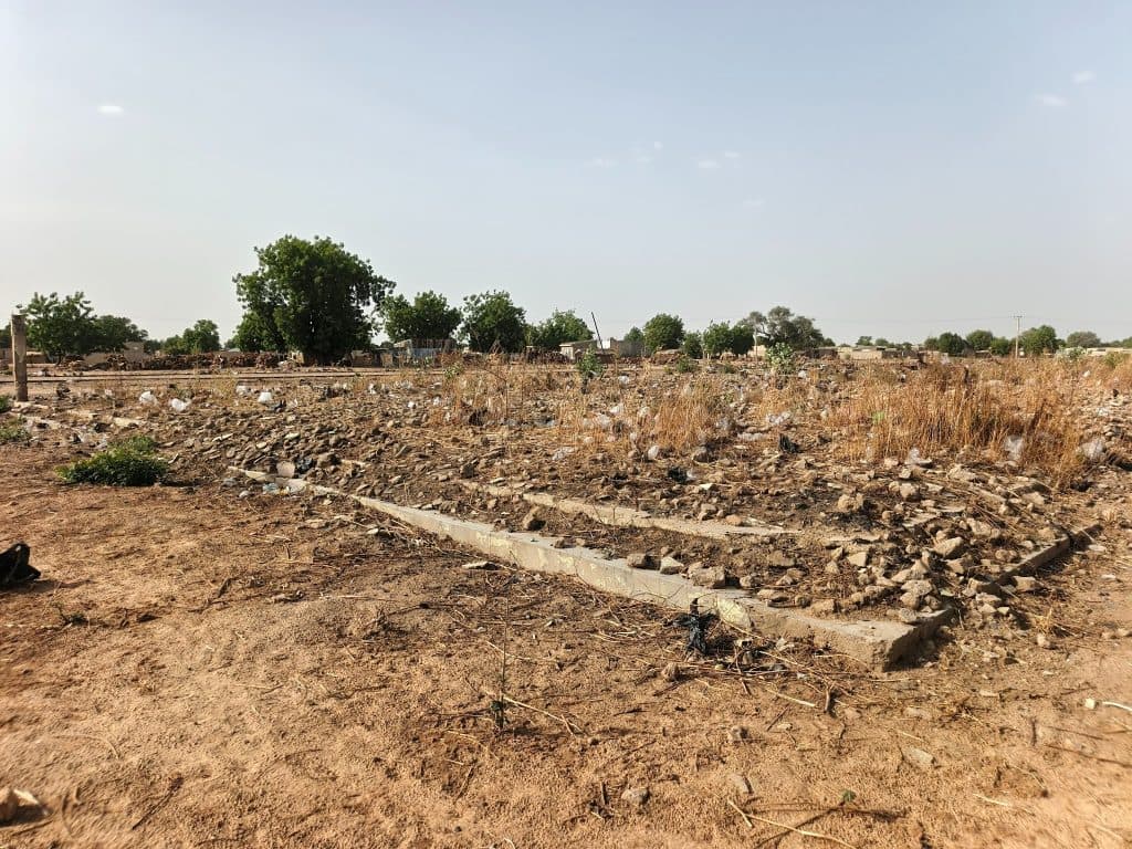 Dry, littered field with rocks and sparse vegetation under a clear sky, trees line the horizon in the background.